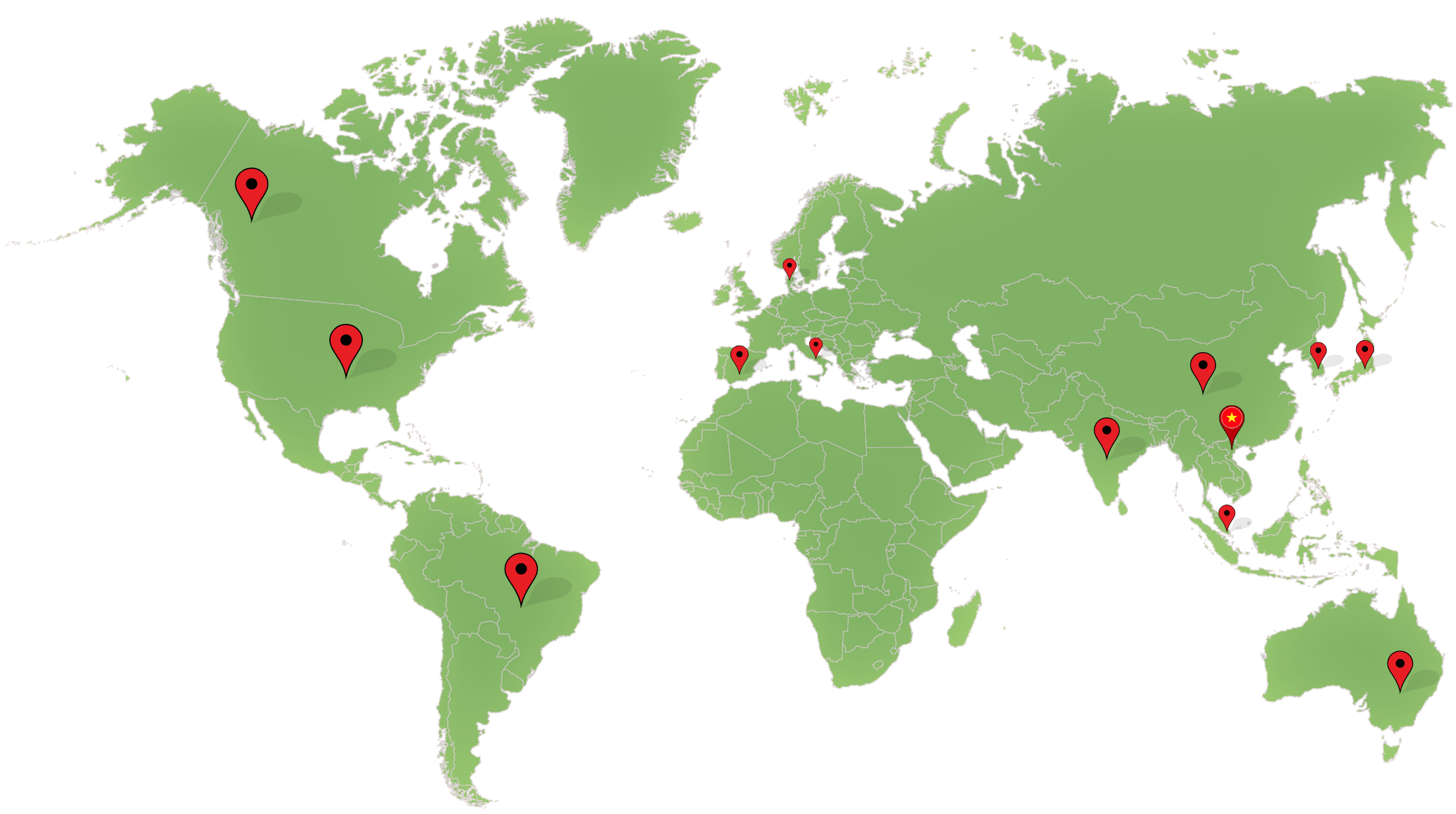 Export to more than 12 countries